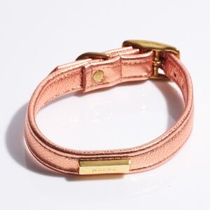 Leather Dog Collar by Hound Collection with Gold Bar Logo